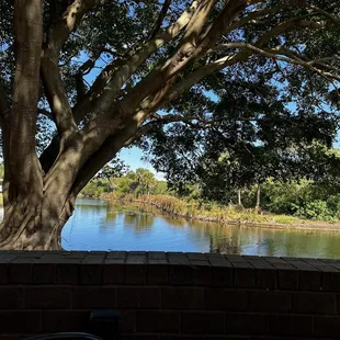 View from patio seating area