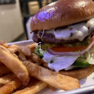 burger, burgers, food