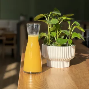 Come try our fresh OJ, made daily