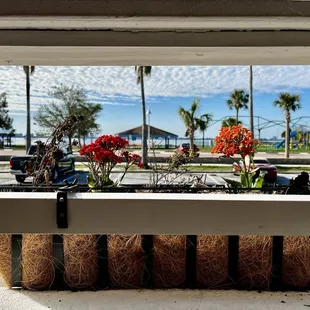 View from the table outside on the deck