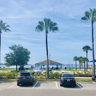 View from patio dining