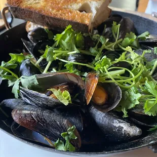 Wood Roasted Mussels