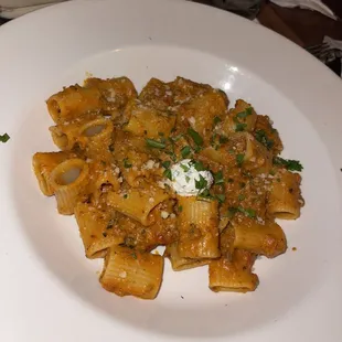 Bolognese