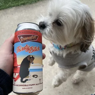 Brew for pups!