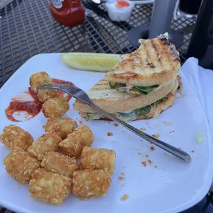 Vegetable panini and tater tots