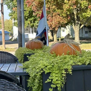 pumpkins and a flag