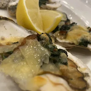 Oysters