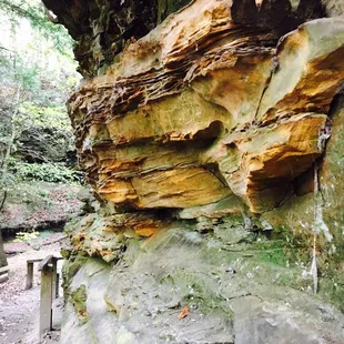 Turkey Run State Park