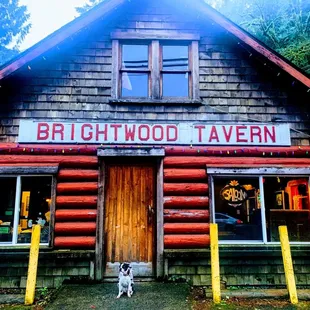 a dog in front of the building