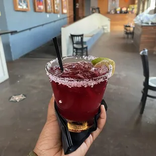 Hibiscus margarita