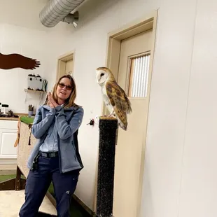Barn owl, Leila