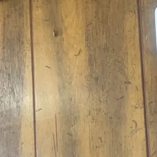 A bug crawled down from under the picture frame and then went back under after a few seconds...