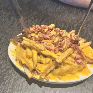 Bacon cheese fries