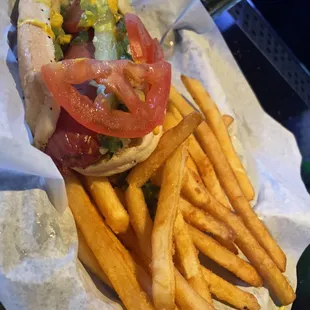 Chicago Dog with fries.