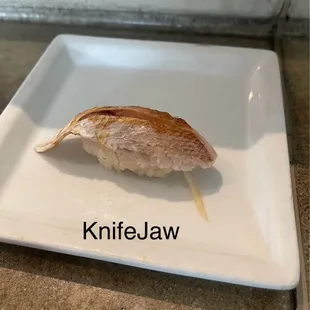 KnifeJaw