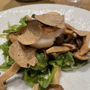 Mushroom and scallop salad with truffles