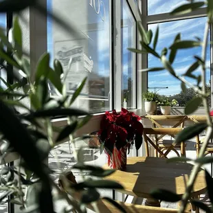 Natural lighting and beautiful ambiance.