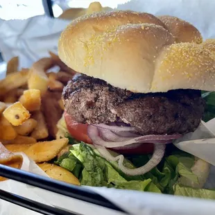 The Classic Hamburger and seasoned fries