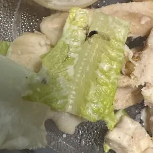 Chicken ceaser salad and suppose to be garlic parmesan fries