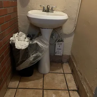 a sink and trash can