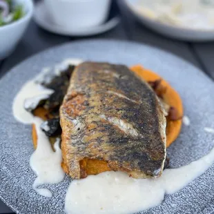 Barramundi