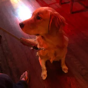 Rusty!!!!!!!!!!