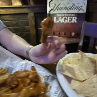 A tiny wing. Pitiful.