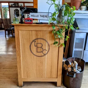 a plant in a pot on the counter