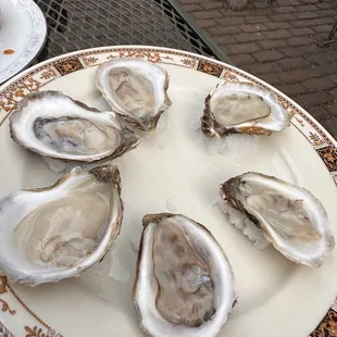mussels, oysters and mussels, shellfish, food, oysters