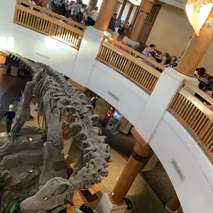 a dinosaur skeleton in a restaurant