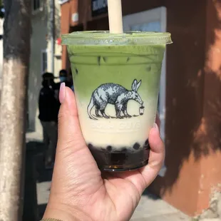 Iced Matcha Latte