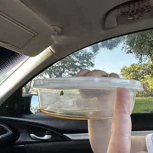 comparison of my pinky to this container