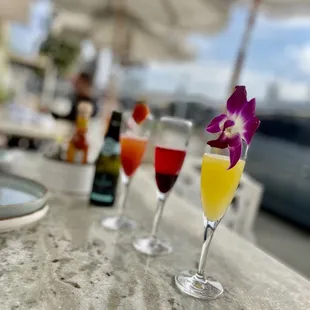 mimosa flight