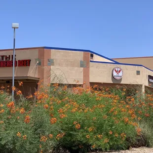 NE of Lindsay and Warner