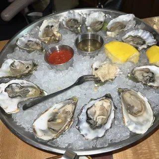 Daily Oysters