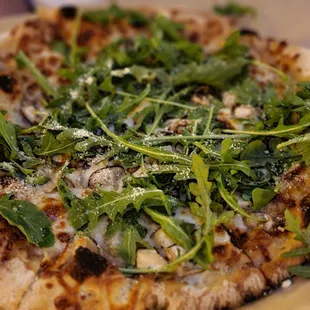 Mixed Mushroom Pizza (garlic confit, mozzarella, arugula, white truffle)