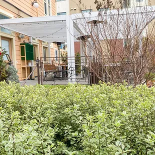 View of the courtyard. They have ample outdoor seating and it's away from the street noise and generally quiet.