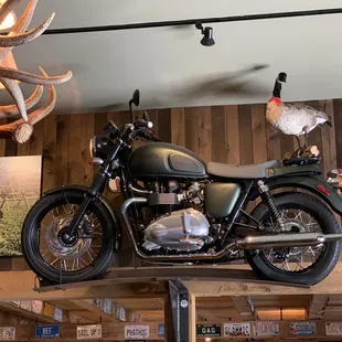 A classic triumph bike