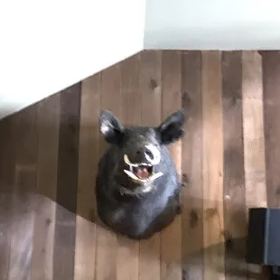 Mini stuffed animals