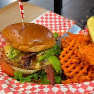 Grilled Chicken Club Special