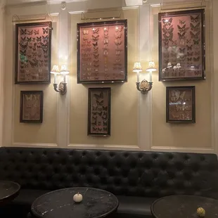 Butterfly lounge