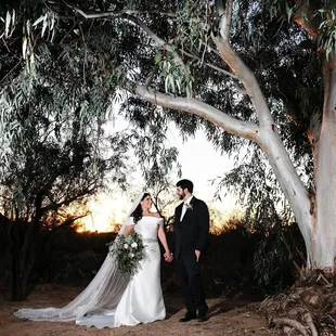 Romantic tree and tree swing.  Sunset views.