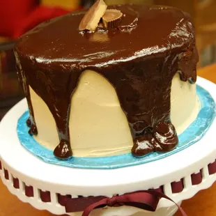 Chocolate Ganache Cake