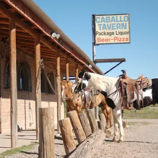 a black and white horse and a brown and white horse