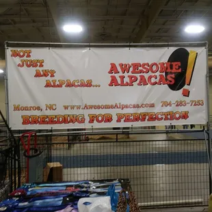 Monroe-local award-winning alpaca folks...really nice &amp; informative