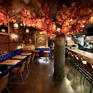 interior, sushi and sashimi