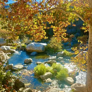 The Kaweah River