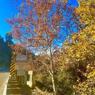 The bridge adjacent leading to property.  It's beautiful, but watch for traffic.