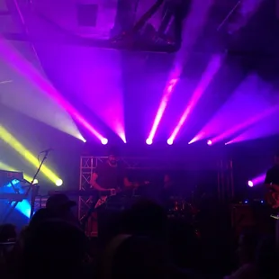 Purp and yellow. Atta way Sunsquabi