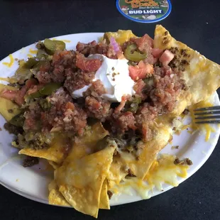 Half order of nachos with flour and corn chips